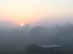 Tennessee Sunrise.