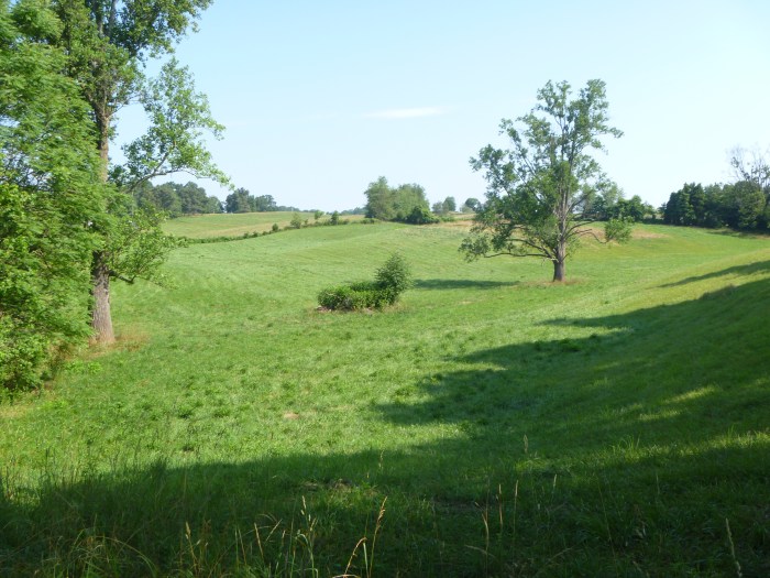Wellington Acres Farm.