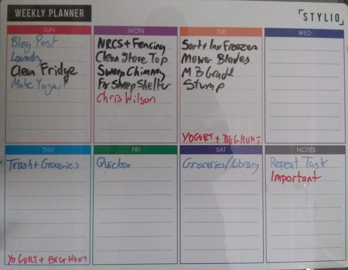 Dry-Erase Weekly Planner